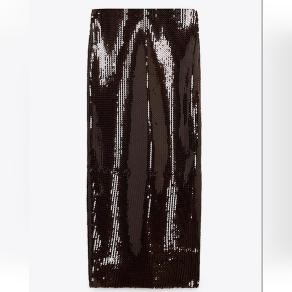 Zara Dresses & Skirts - Zara Viral Sold Out Sequin Elastic Waist Midi Skirt, L, Dark Brown